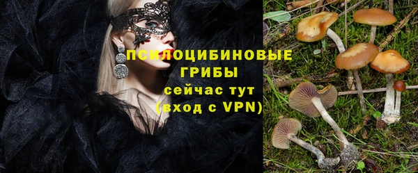 apvp Арсеньев